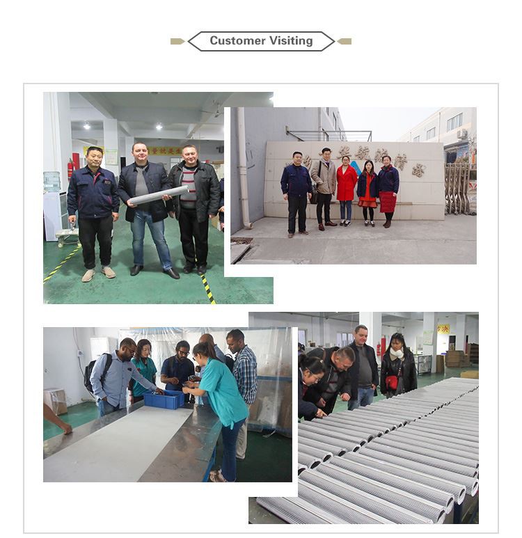 precision filter element (11)